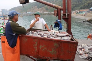 Two fishers stand next to a large metal container full of squid, chatting. One is dressed in neon orange waders, and the other is smiling behind a styrofoam cup of instant coffee. Colorful buildings dot the shoreline behind them on an overcast day.