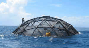 A large sphere made of metal and netting protrudes from bright blue water. A person is climbing on near the top of the sphere wearing a red life jacket.