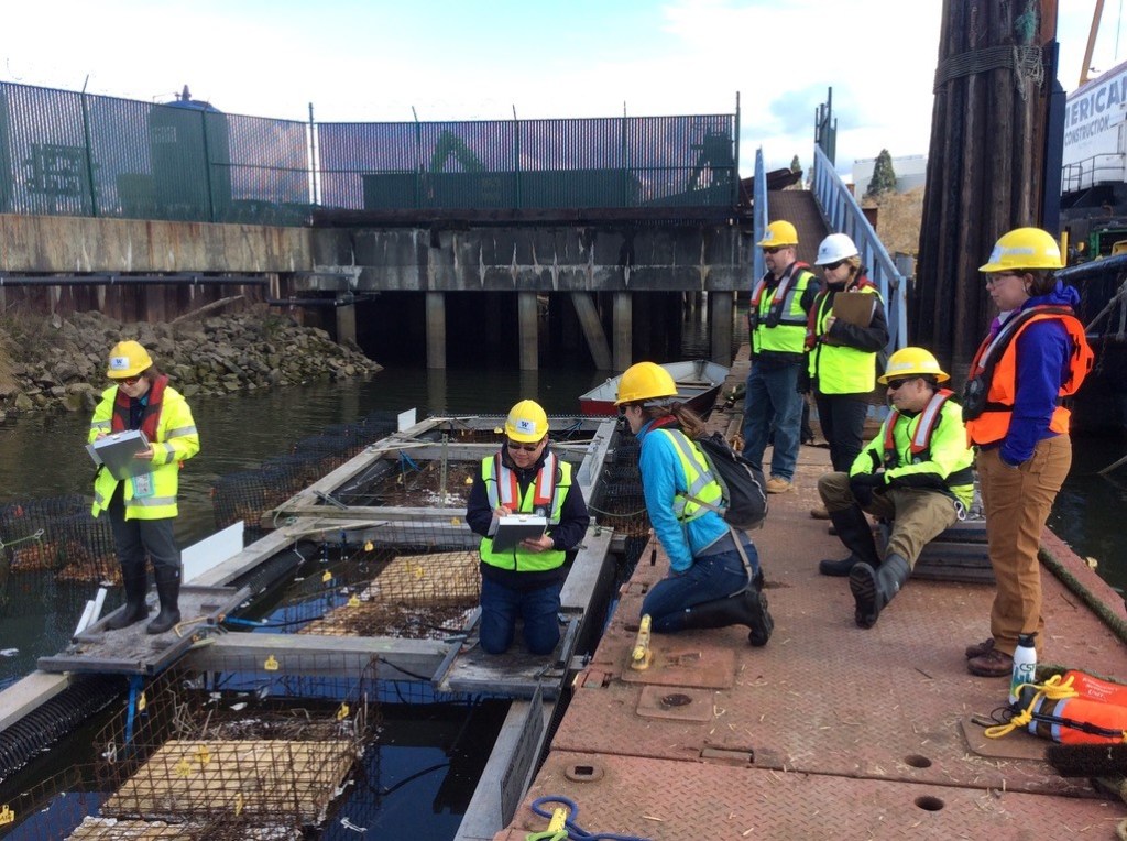 Science, Salmon, and Environmental Justice in Uncertain&nbsp;Times