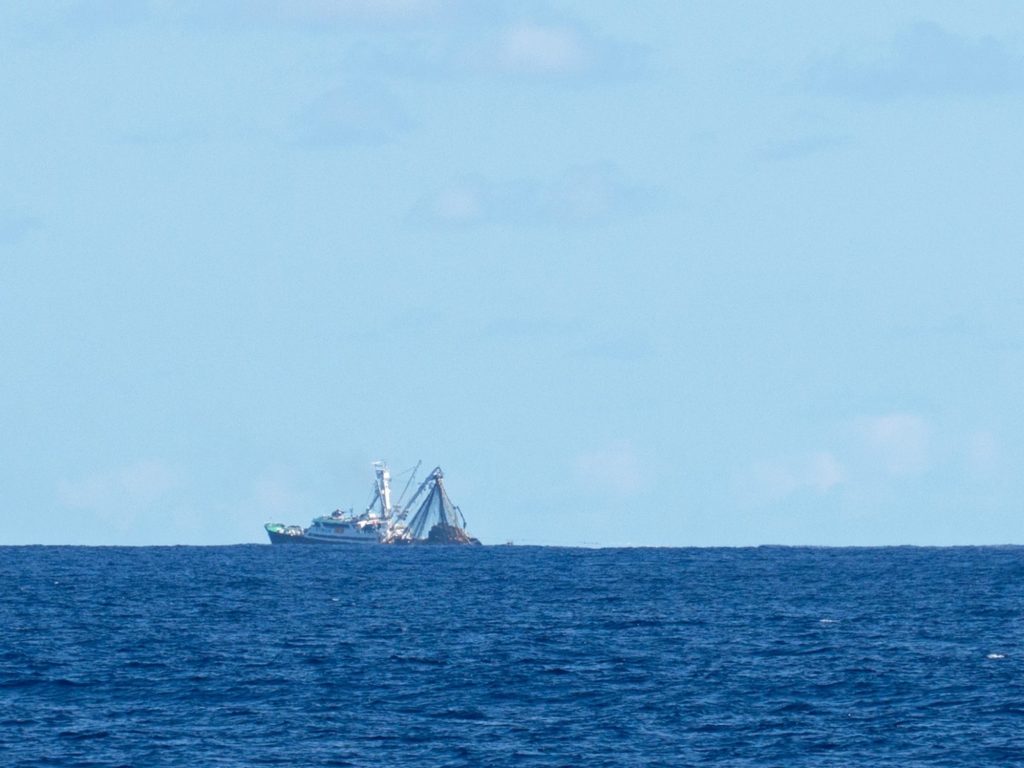 From Fishing Net to Fork – A Glance at Seafood&nbsp;Sustainability