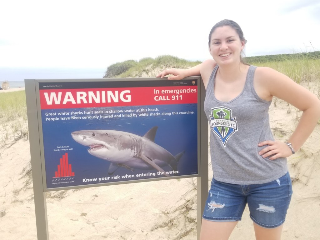 SMEA Summer: Are we really “gonna need a bigger&nbsp;boat”?