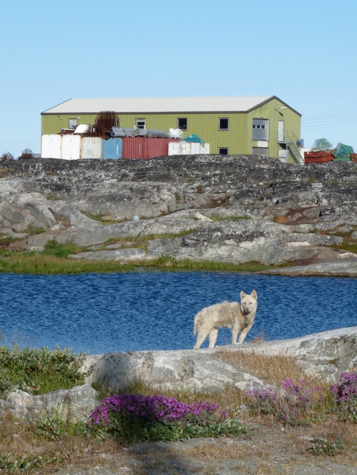 currentsblog_changingarctic_8