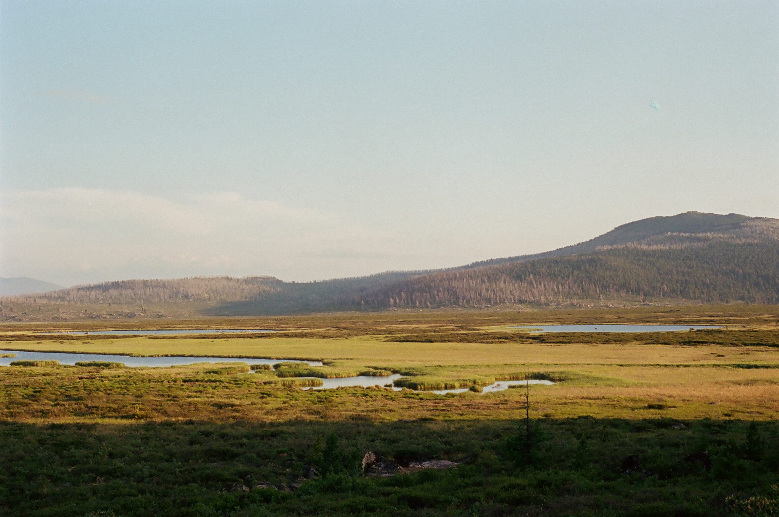 A photo looking out at a series of marshes or bogs is host to many different shades of green. Mountains are in the background. 