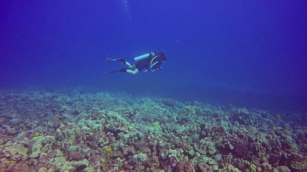 Shifting Baselines in the&nbsp;Anthropocene