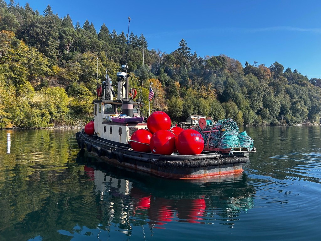 Exploring Kelp Farming with Pacific Sea Farms