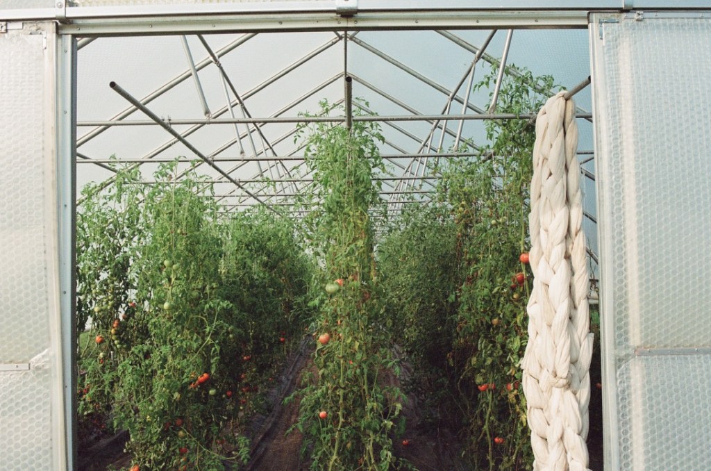 A Conversation About Veganism: How it Shapes our Food Systems, Fisheries, and&nbsp;Lives