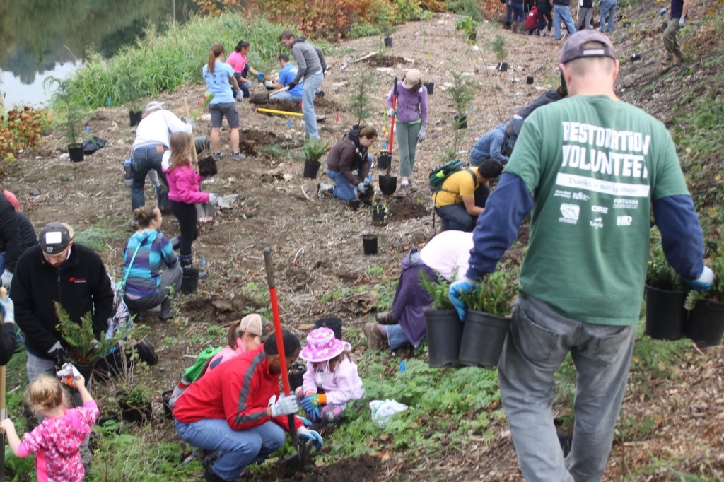 Group of people planting trees