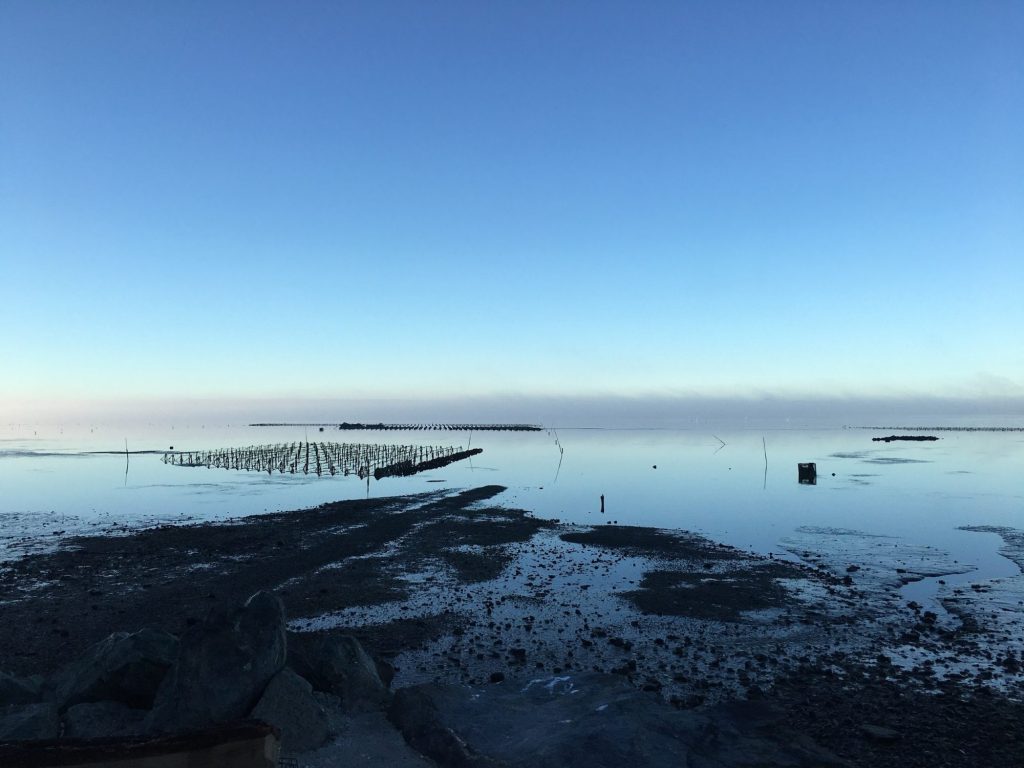 “Is This Fish Farmed or Wild?” Learning and Communicating about&nbsp;Aquaculture