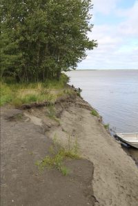 Along the sandy bank of a river, there is evidence of where some of the ground has fallen away.