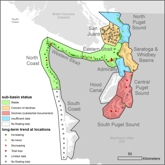 A map of Puget Sound highlights floating kelp bed area sub-basin status. Populations are stable on the North Coast and Straight of Juan de Fuca, experiencing concerns of decline in the San Juan islands and Saratoga and Whidbey Basins, demonstrating substantial declines in Central and South Puget Sound, and have insufficient data In Admiralty and North Puget Sound.