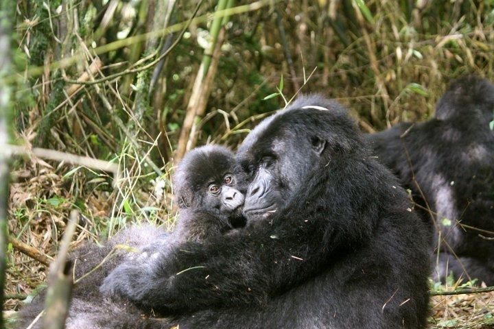 No tacky tourists here! Three tips for thoughtful&nbsp;travelers