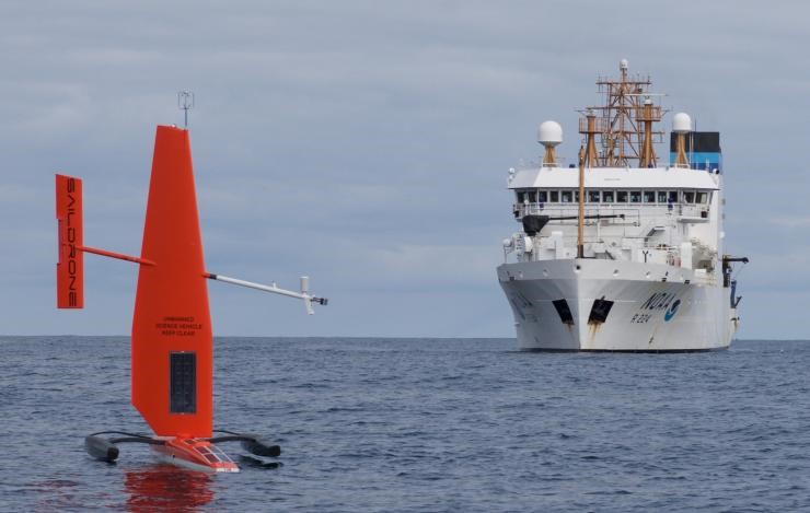 Turning the Tide with Technology: How Tech is Helping Conservation&nbsp;Efforts