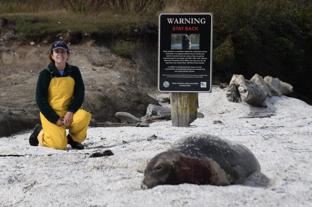 Dr. Stephanie Norman on Marine Mammals, Epidemiology, and Environmental Justice