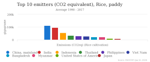 A colorful bar graph illustrating the greenhouse gas emissions due to rice production.