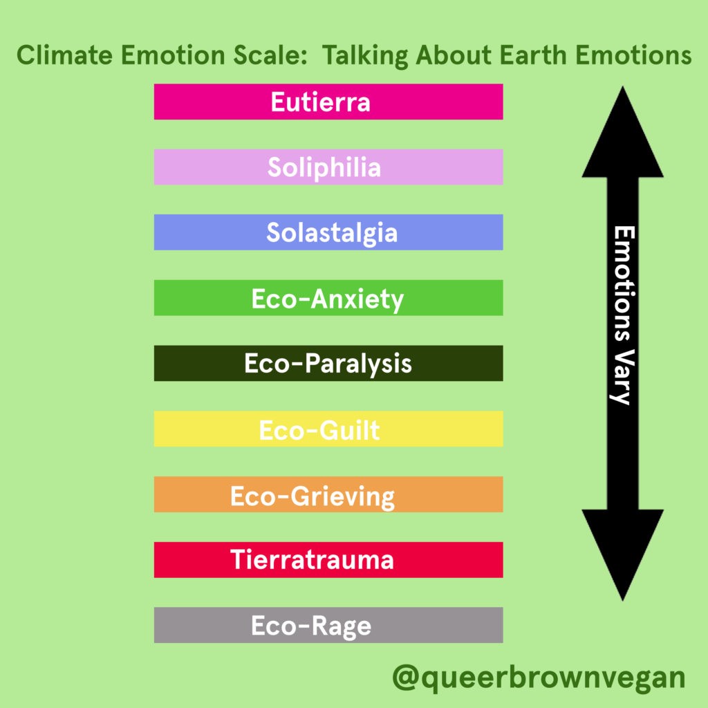 The Highs and Lows of an Anxious Grad Student Grappling with&nbsp;Eco-anxiety