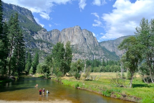 A Place for Social Science in&nbsp;Conservation