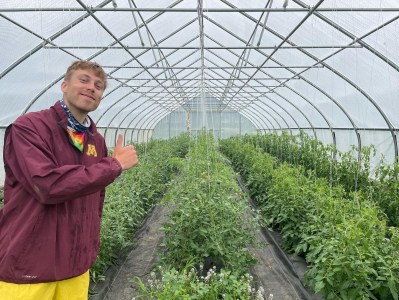 The author stands inside a greenhouse with young tomato plants on vertical trellis lines.