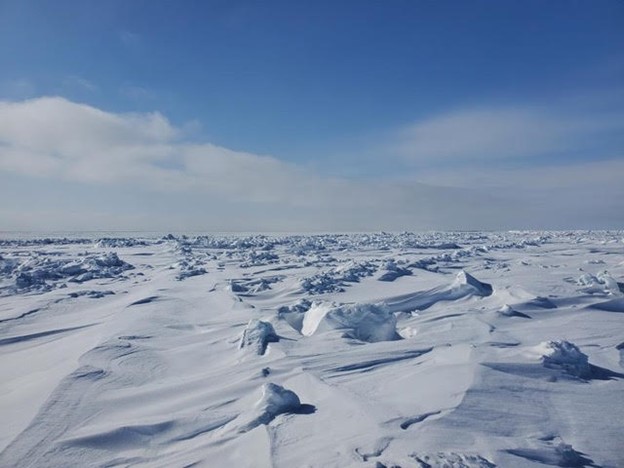 Food Sovereignty in the&nbsp;Arctic