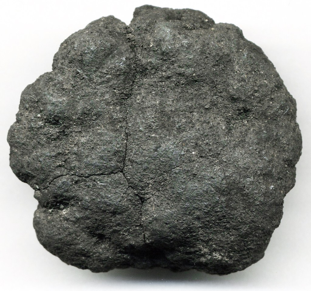 Underwater Wealth: The Life and Future of the Deep&nbsp;Sea