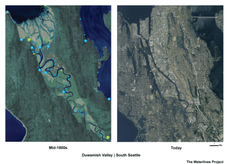 Two aerial photos of the lower Duwamish River mouth. The first, from the mid-1800s shows a meandering blue river surrounded by verdant grasslands and sites of significance for Native Peoples. The second, shows the same stretch of river but in present day Seattle. The meanders and grasslands are gone and instead straight, channelized waterways of black and grey are surrounded by the dull grey of thousands of buildings.