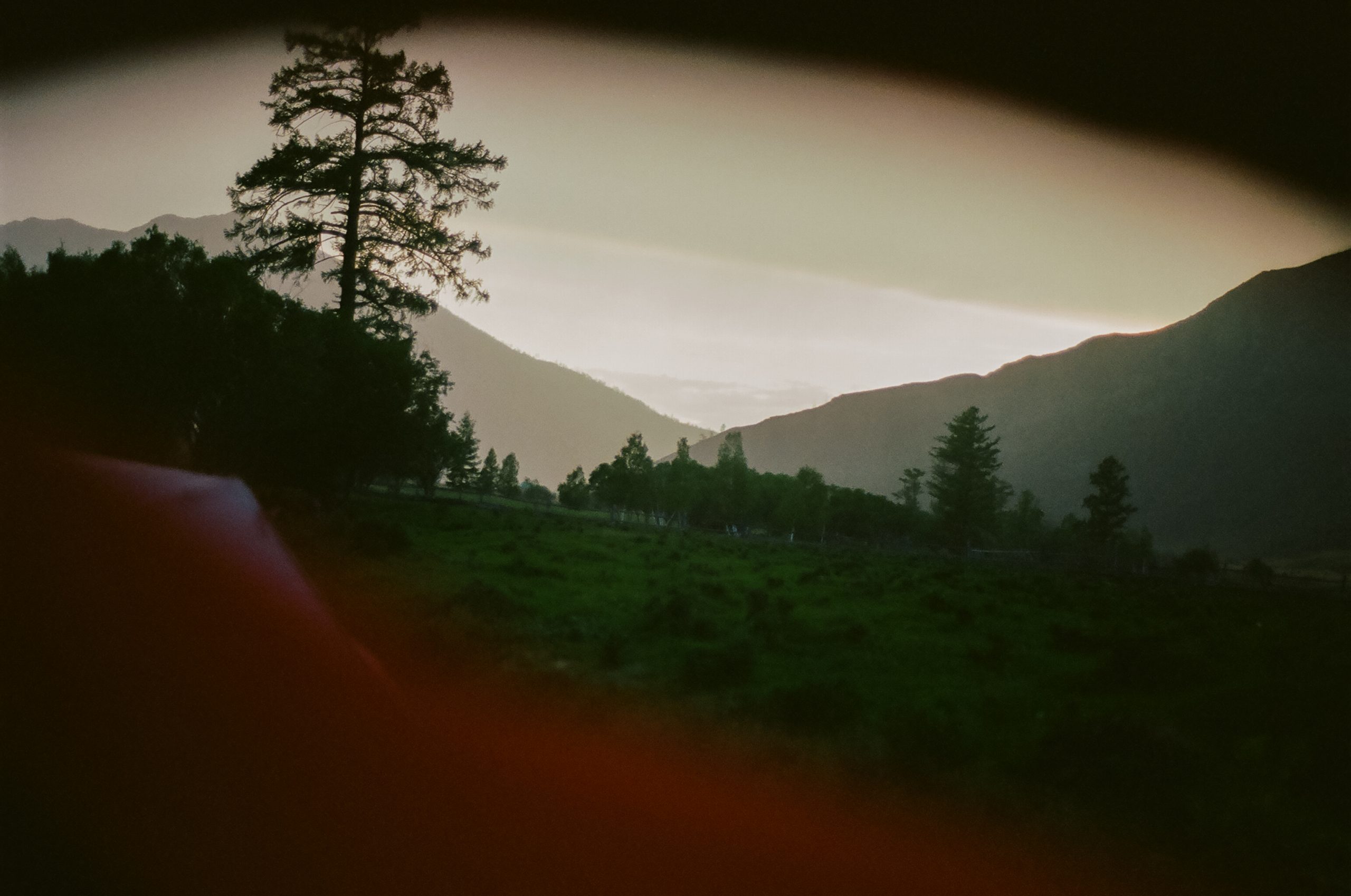 The yellow light of a charged thunderstorm highlights a photo taken peering out at the wet, green landscape from within a red tent. Things in the photo look humid.