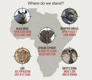 A drawn map of Africa is in the background with 5 different images of endangered animals. Each animal's photo has a crosshair overlayed on top.