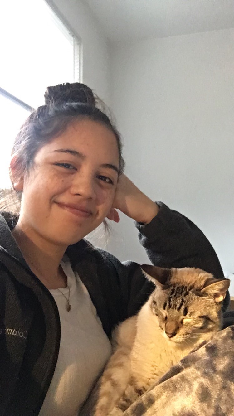 How COVID-19 Has Affected the SMEA&nbsp;Experience