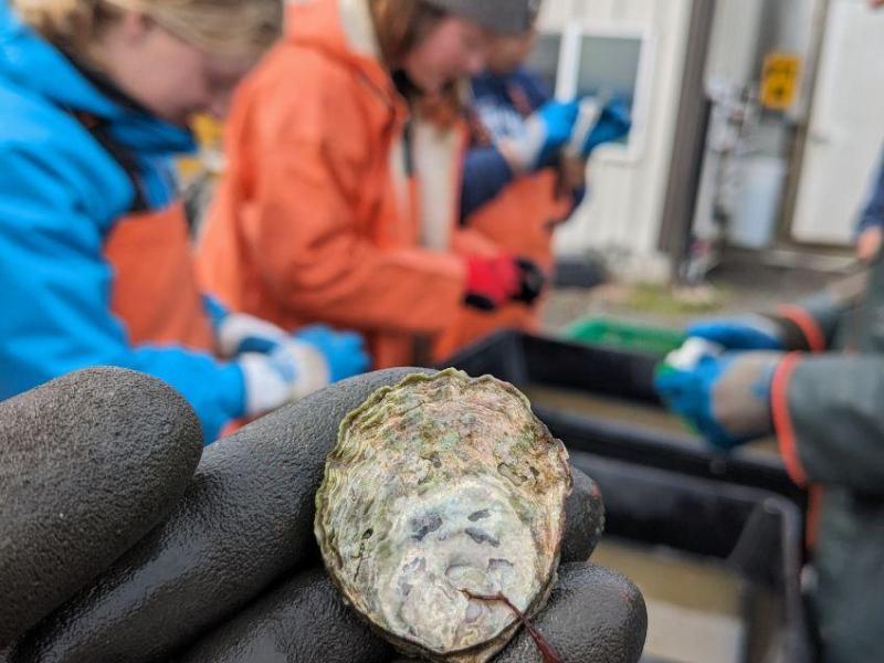 Exploring Case Studies of Conservation&nbsp;Aquaculture