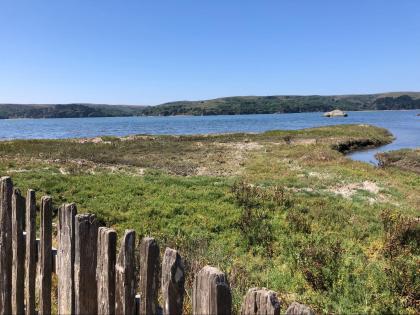 coastal foliage on the shore of a bay with mountains in the distance and blue sky.