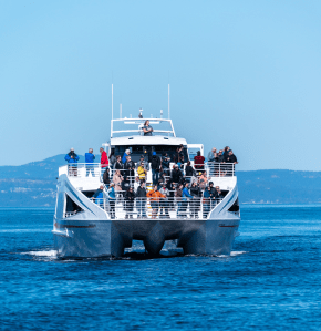 Exploring the Salish Sea and educating the public aboard MV Swiftsure.