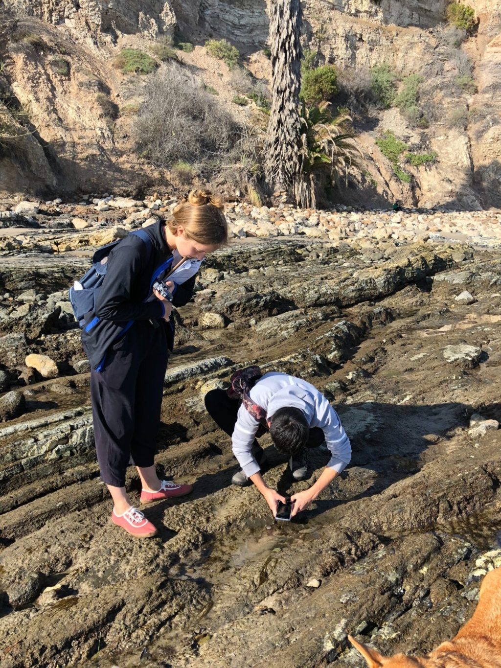 Who’s at Los Angeles’&nbsp;Tidepools?
