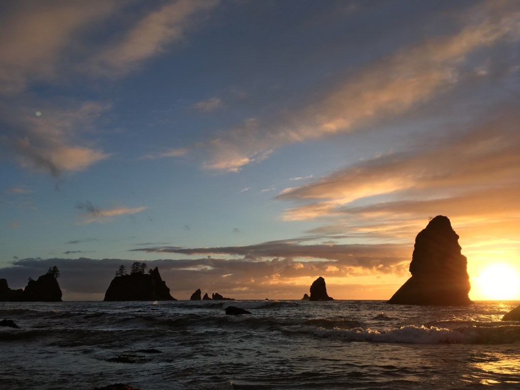 Falling pH and Rising Momentum: Taking Action on Ocean&nbsp;Acidification