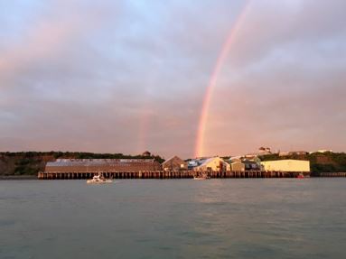 SMEA Summer: Who’s buying salmon on the South&nbsp;Line?