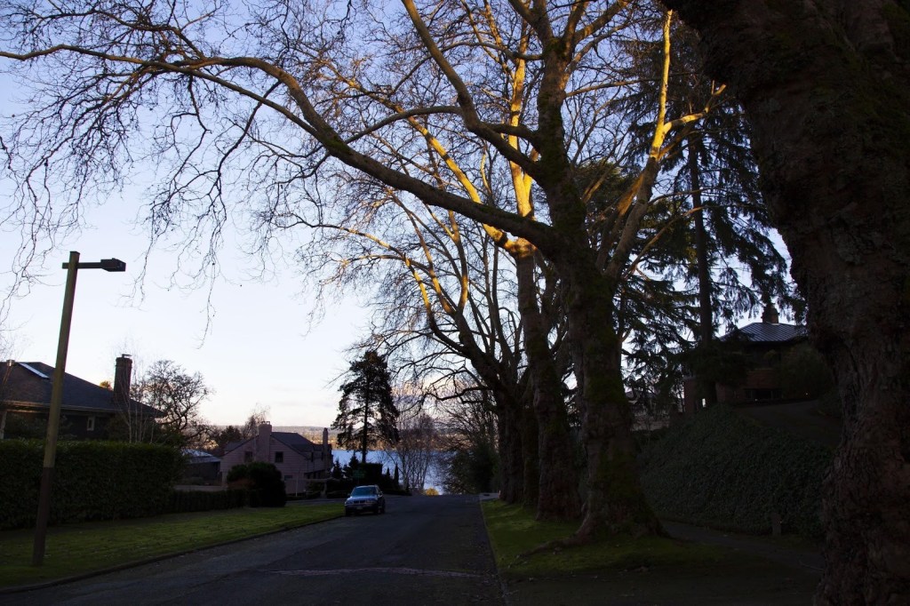 Heat and Housing: A Link between Historic Racism and Current Environmental&nbsp;Inequities