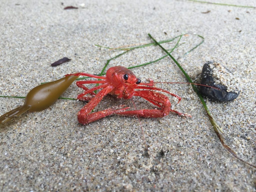 Read it and (please don’t) weep: How to cope with climate grief