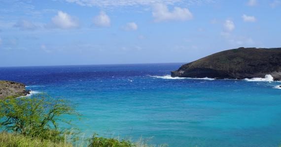 Let’s get to work! Role of for-profit private sector players in&nbsp;conservation