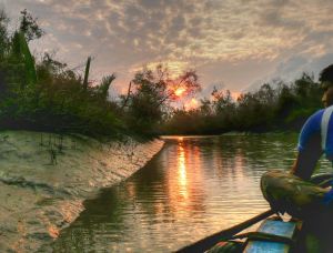 Boatmen traveling through the Sundarbans mangrove forest.
