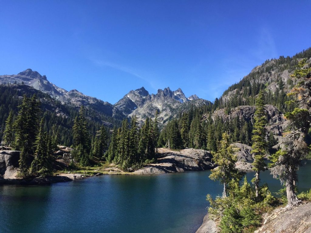 What does it take to be an environmentalist today?