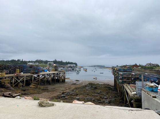 Two large piers covered in lobster pots extend over a rocky beach and out toward a sheltered bay filled with small boats.