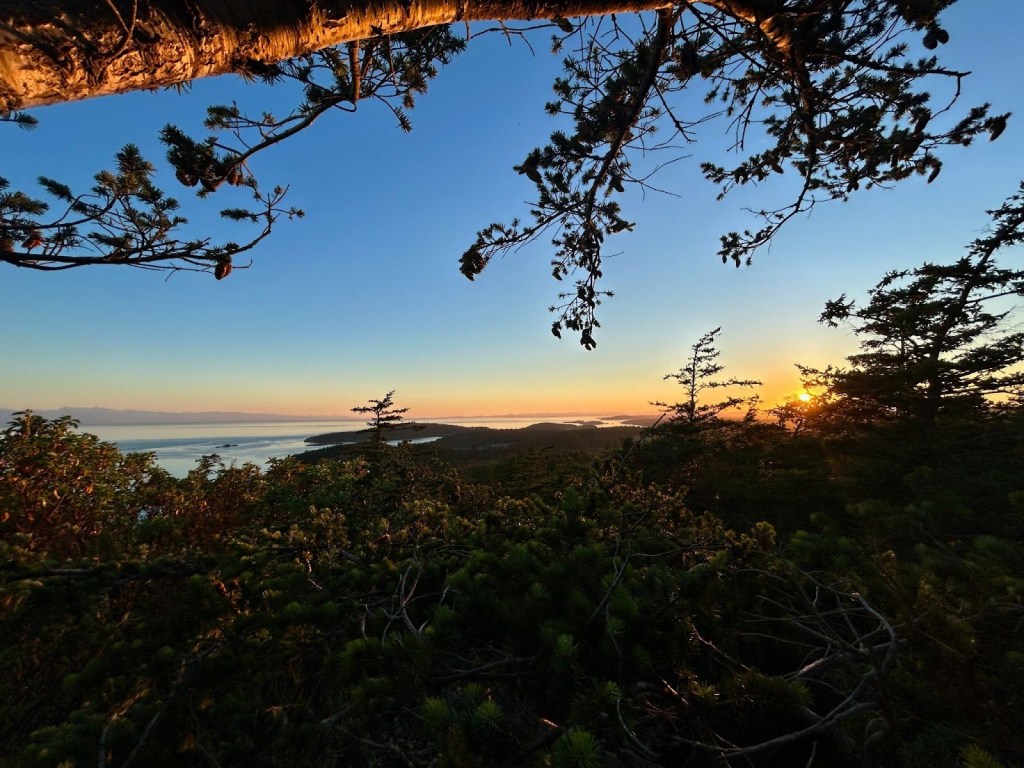 Welcome to Currents: SMEA Second Year Student Summer&nbsp;Spotlight