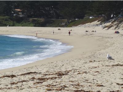 Where has all the good sand&nbsp;gone?