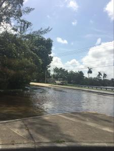 Flooding from Hurricana Irma in South Florida.