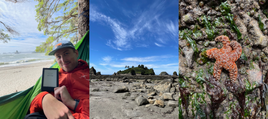 A photo collage. On the far left Luke (author) smiles inside a bright green hammock with a rugged looking beach behind them. In the middle, a photo of tall rocks at low tide on a sunny day. On the far right, an orange sea star with white accents lies on a rock at low tide.
