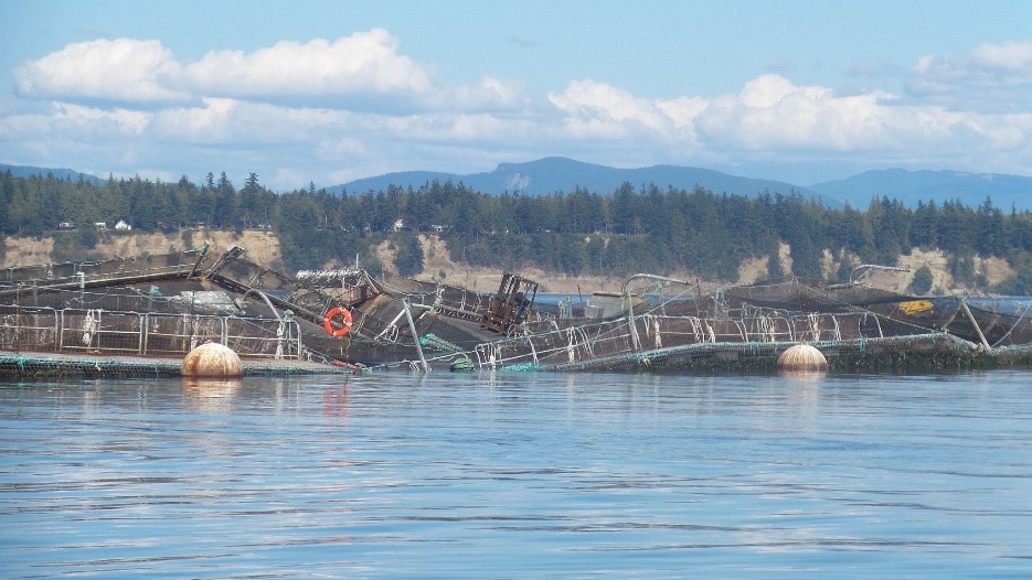 Cooke-ing Up Something&nbsp;Fishy