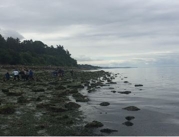 Isn’t that just volunteer&nbsp;work?