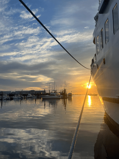 A sunrise over a marina full of boats and a calm sea. A large boat looms on the right side of the image.