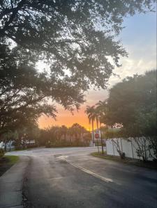 Empty road in South Florida.