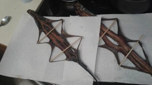 Two Pacific lampreys are being dried with dowels holding open their flesh.