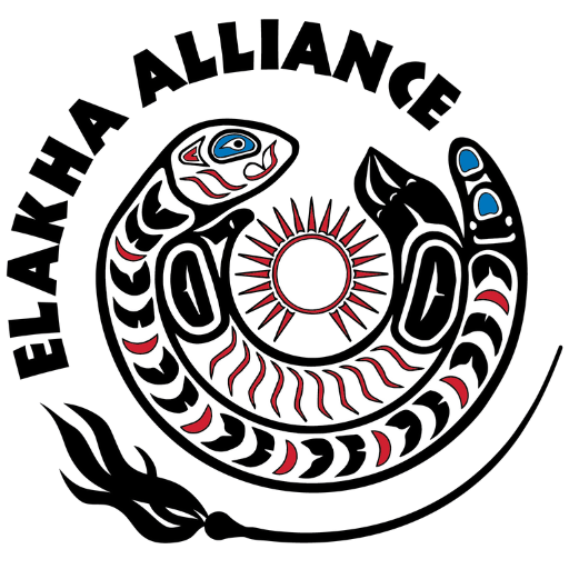 The Elakha Alliance logo depicts a sea otter in a circular shape with a piece of kelp on the outside as well as the name of the Alliance. This logo was done in the style of wood carvings by Kenneth Hatch (Siletz/Aleut).