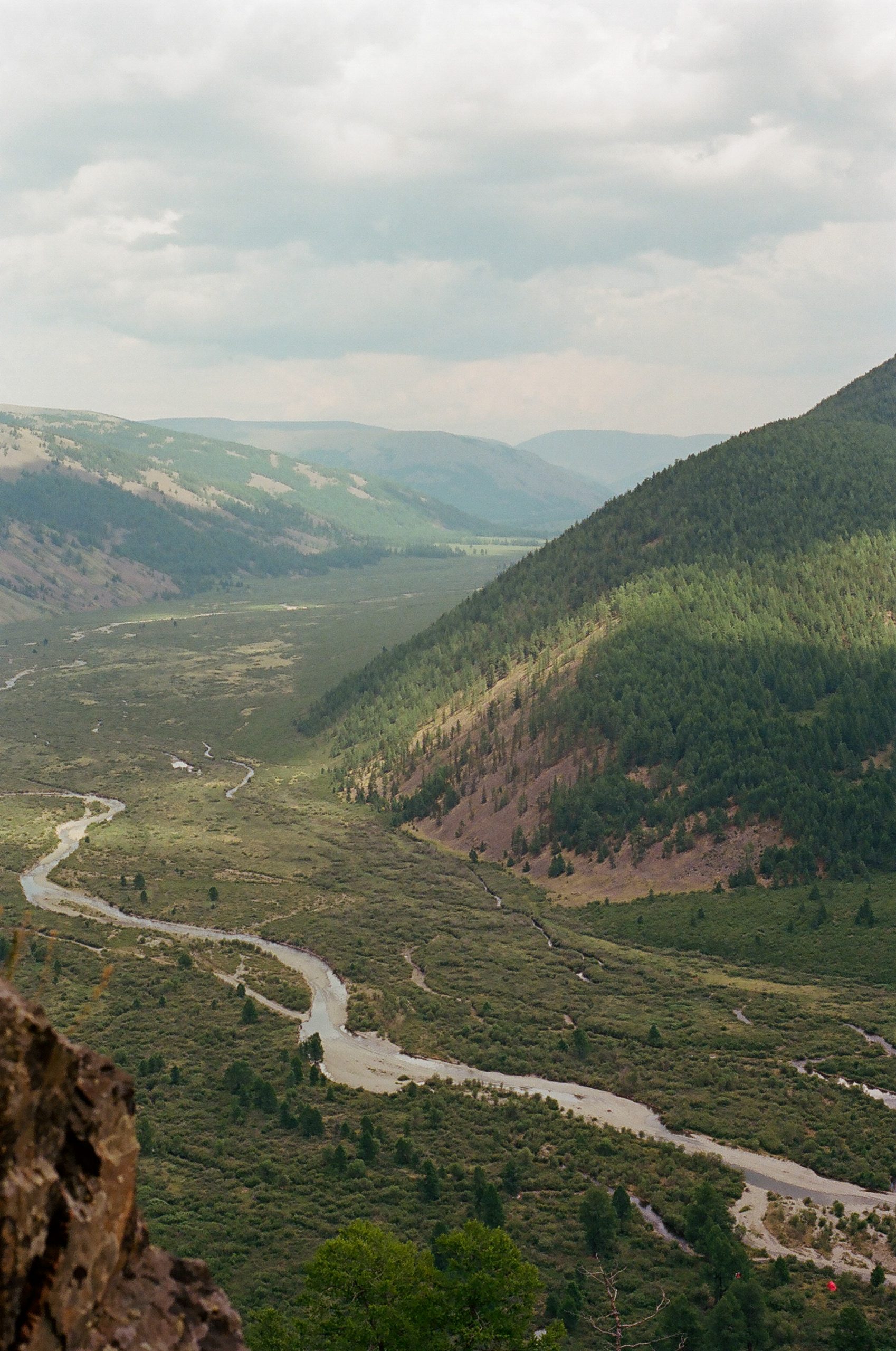 A view of a braided stream flowing down a green valley taken from high up on a mountain.
